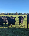The Beef Box