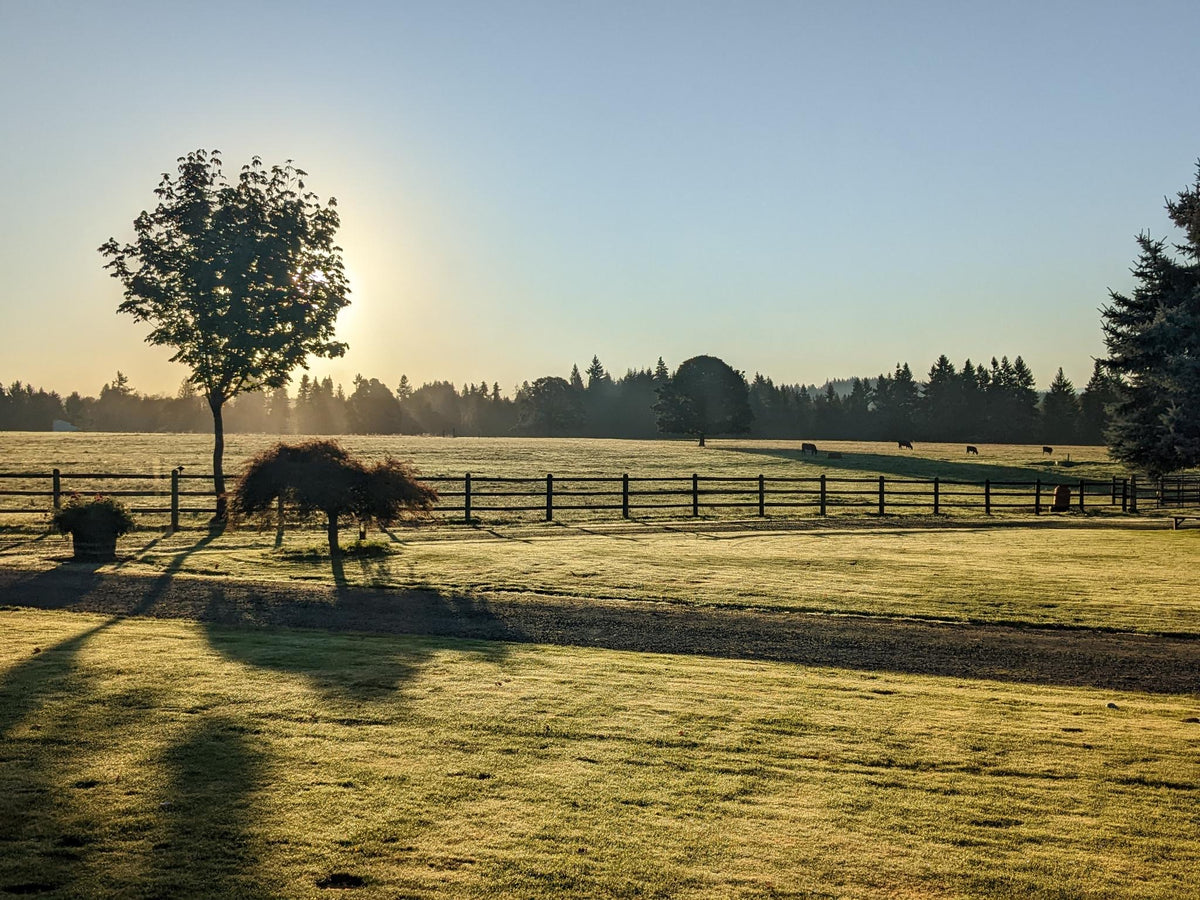 The Carlson Ranch