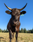 The Beef Box