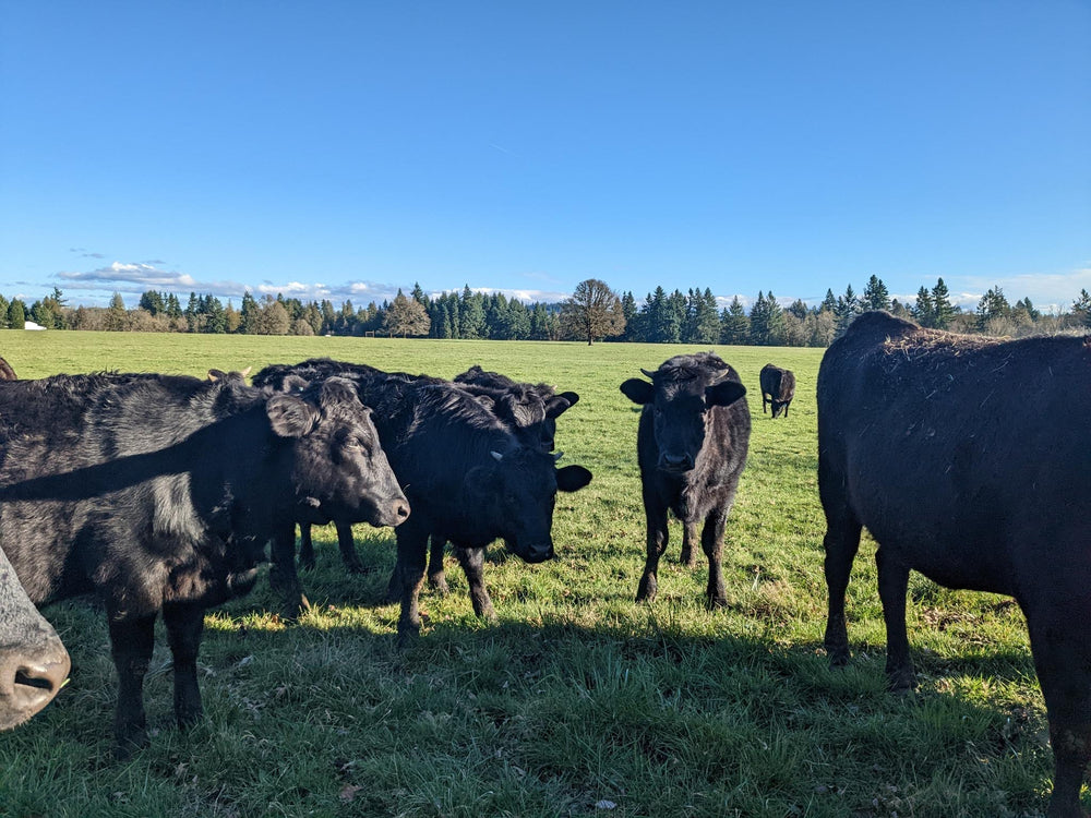 Local, mostly non-GMO grain