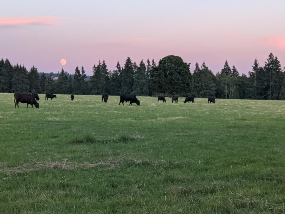 101 acres in Oregon City